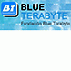 BlueTerabyte, Fundación